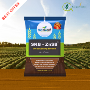 SKB ZnSB Zinc Solubilizing Bacteria biofertilizer for improving zinc availability in agricultural soil