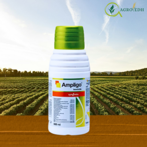 Ampligo Insecticide by Syngenta containing Chlorantraniliprole 9.3 percent and Lambda cyhalothrin 4.6 percent ZC for caterpillar pest control in cotton maize chilli and vegetables