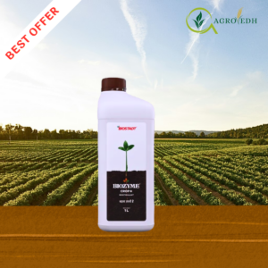 Biozyme Seaweed Extract Ascophyllum nodosum plant growth biostimulant for crops