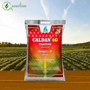 Caldan 4G Cartap Hydrochloride 4% G granular insecticide for stem borer and caterpillar pest control in rice and vegetable crops