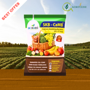 SKB CaMB Calcium Mobilizing Bacteria biofertilizer for improving calcium availability and fruit quality in crops