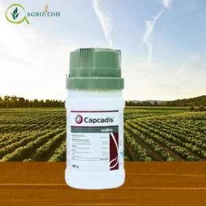 Capcadis insecticide containing Thiamethoxam 75 SG used for controlling sucking pests in cotton rice vegetables and fruit crops
