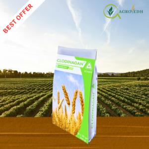 Clodinagan Herbicide by Adama containing Clodinafop Propargyl 15 WP for controlling grassy weeds in wheat crop
