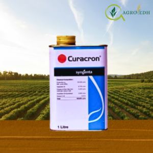 CURACRON insecticide containing Profenophos 50% EC for bollworm and sucking pest control in cotton crops