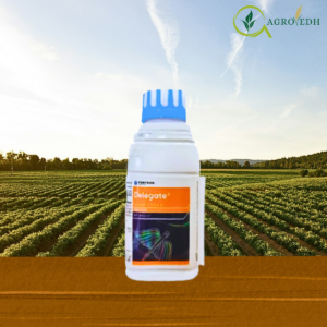 Delegate insecticide Spinetoram 11.7 SC bottle used for thrips and caterpillar control in chilli cotton grapes and vegetables