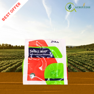 ICL MAP 12-61-0 Mono Ammonium Phosphate water soluble fertilizer for root development