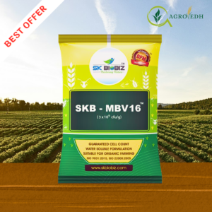 SKB MBV16 Verticillium Metarhizium Beauveria Trichoderma Bio Insecticide for pest and disease control