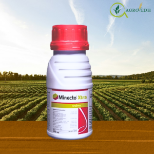 Minecto Xtra insecticide by Syngenta for control of borers thrips and caterpillars in vegetable crops