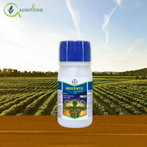 Movento Energy insecticide bottle containing Spirotetramat 11.01% and Imidacloprid 11.01% for controlling sucking pests in cotton and vegetable crops