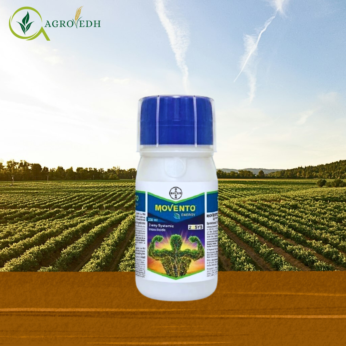 Movento Energy Insecticide Spirotetramat 11.01% + Imidacloprid 11.01% OD Movento Energy insecticide bottle containing Spirotetramat 11.01% and Imidacloprid 11.01% for controlling sucking pests in cotton and vegetable crops