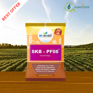 SKB PF08 Pseudomonas fluorescens bio fungicide for disease control in vegetables, fruits and field crops