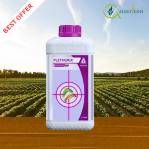 Plethora Insecticide Novaluron 5.25% + Indoxacarb 4.5% SC for caterpillar pest control in cotton chilli tomato crops