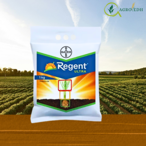 Regent Ultra Fipronil 0.6 GR granular insecticide for rice stem borer and soil pest control