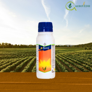 Regent SC insecticide bottle containing Fipronil 5 percent SC used for controlling stem borers thrips and termites in crops