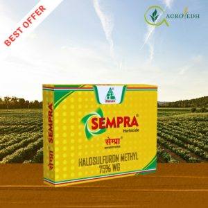 Sempra Herbicide by Dhanuka containing Halosulfuron Methyl 75 WG for nut sedge weed control in sugarcane and vegetable crops