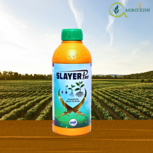 Slayer PRO Thiamethoxam 30% FS systemic seed treatment insecticide for aphids, whiteflies, and thrips control