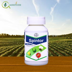 Spintor Spinosad 45 percent SC insecticide for thrips caterpillar and fruit borer control in vegetable crops