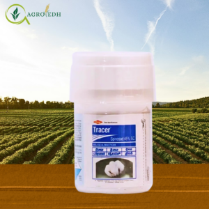 tracer Spinosad 45 percent SC insecticide for thrips caterpillar and fruit borer control in vegetable crops