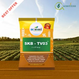 SKB TV03 Trichoderma viride bio fungicide for soil borne disease control