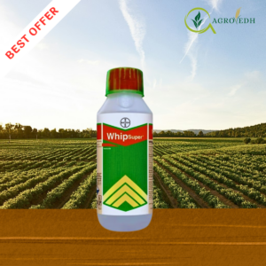 Bayer Whip Super Herbicide Fenoxaprop-p-ethyl 9.3 EC selective grassy weed control herbicide